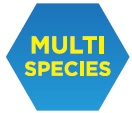 Multi Species